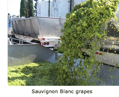 grapes